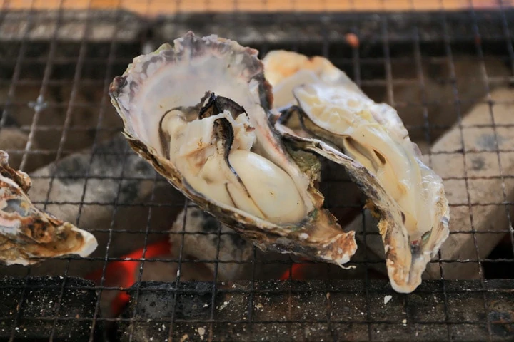 Setouchi Food | Seto Inland Sea Japan Oysters