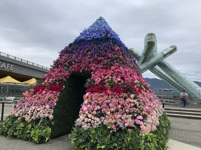 Fleurs en ville