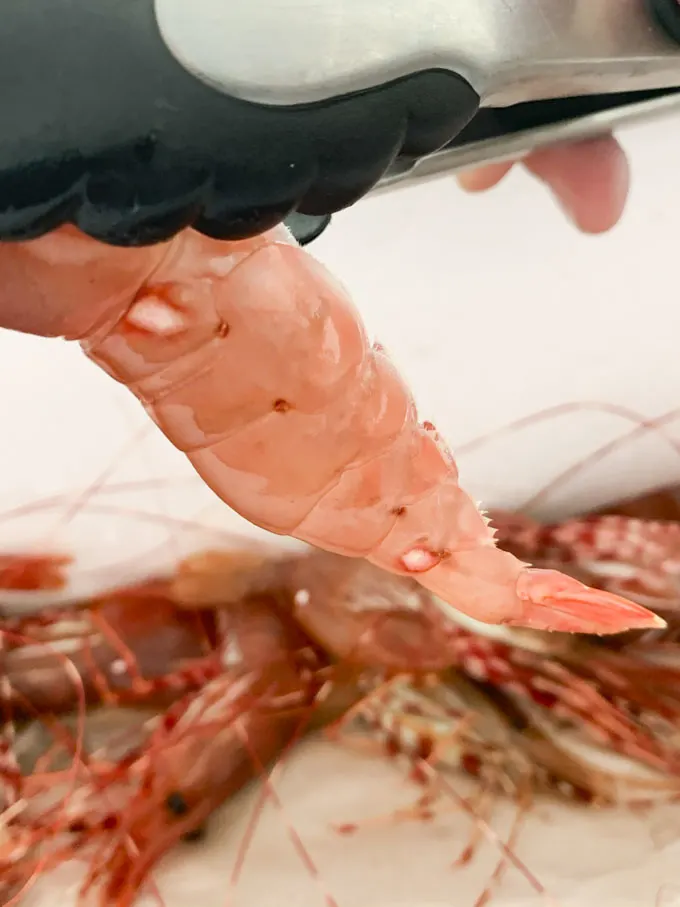 BC Spot Prawns Vancouver 2022: Season Dates, Where to Buy, How to Cook
