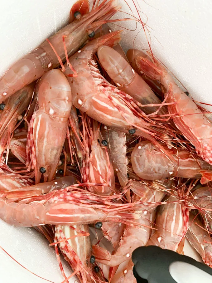 Purged Spot Prawns: Process, Cost, Where to Buy, Taste, Delivery
