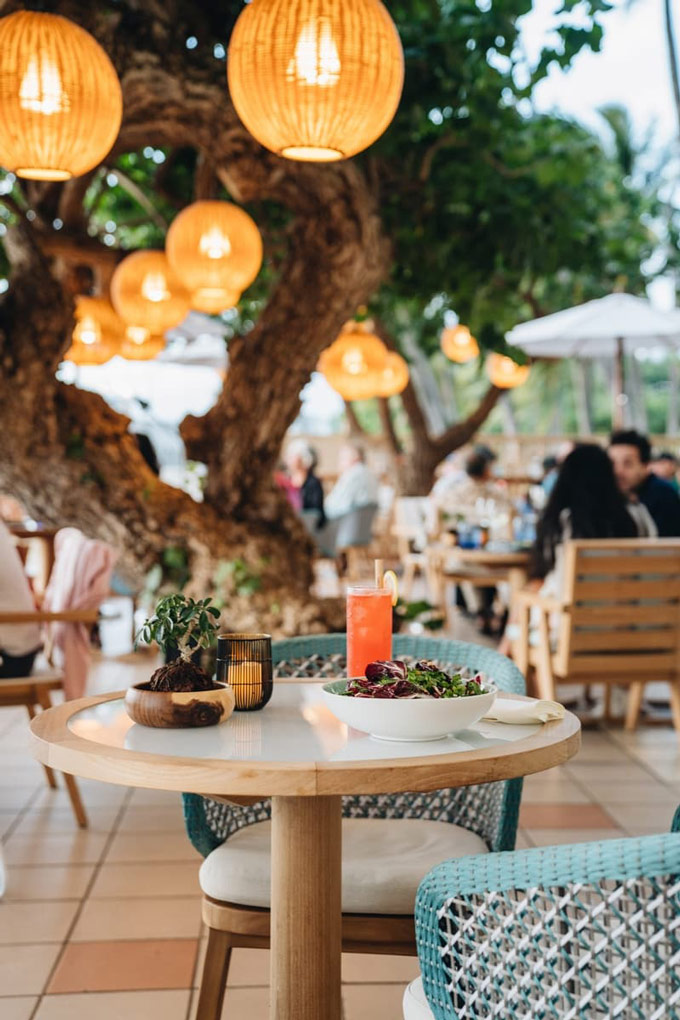 Best of Honolulu Restaurants 2021 Hawaii | Top Places to Eat