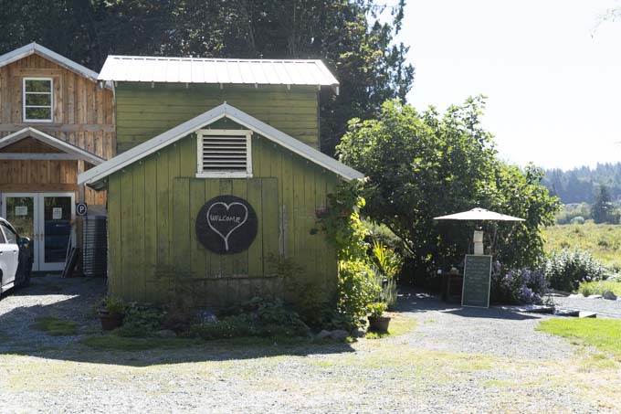 Westholme Tea Company Cowichan Valley Vancouver Island - Tea Farm