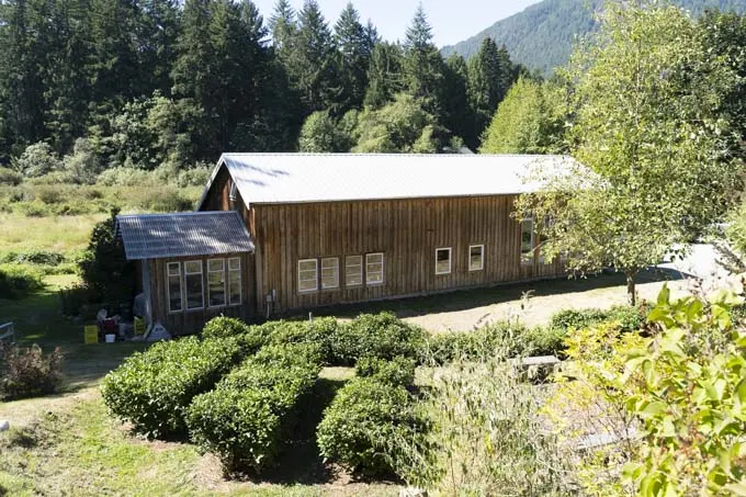 Westholme Tea Company Cowichan Valley Vancouver Island - Tea Farm