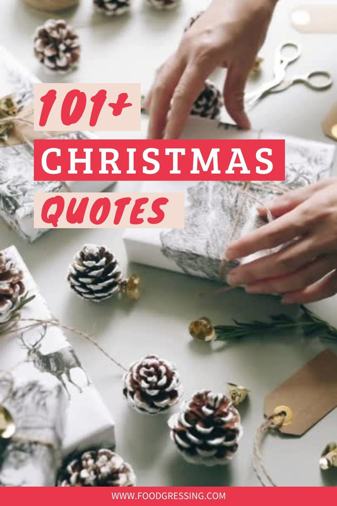101+ Christmas Quotes on Vacation, Funny, About Family, About Love