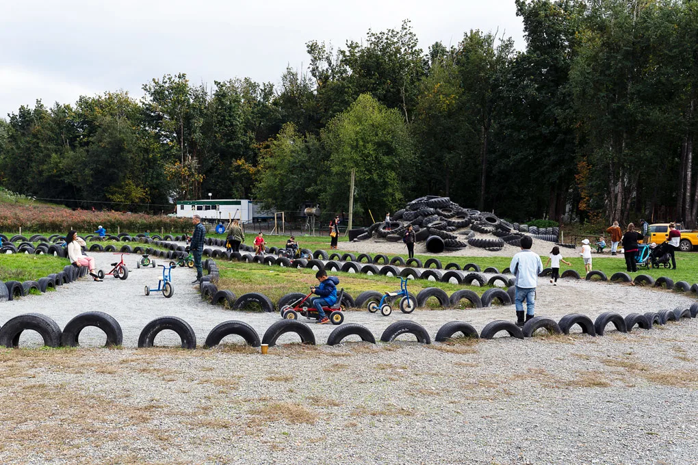 Maan Farms Abbotsford Fall Experience: Pumpkin Patch and more