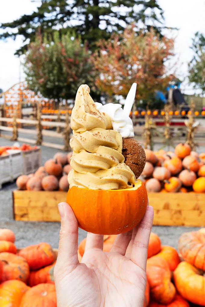 Maan Farms Abbotsford Fall Experience: Pumpkin Patch and more