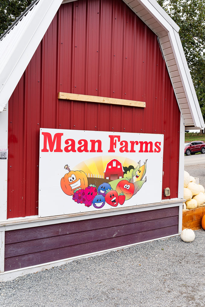 Maan Farms Abbotsford Fall Experience: Pumpkin Patch and more