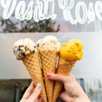 Vashti Rose Ice Cream Port Moody | 2022 Visit [Review]