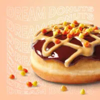 Tim Hortons Reese's Peanut Butter Cheesecake Dream Donut