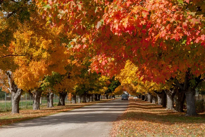 Best Places to Visit in Montana in the Fall