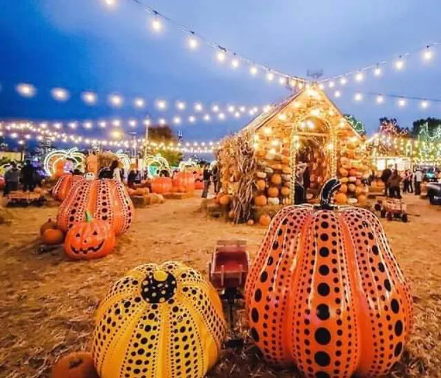 Halloween Toronto Events 2022 For Adults & KidFriendly