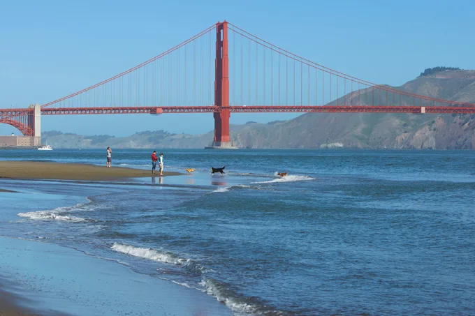 Pet Friendly Hotels San Francisco