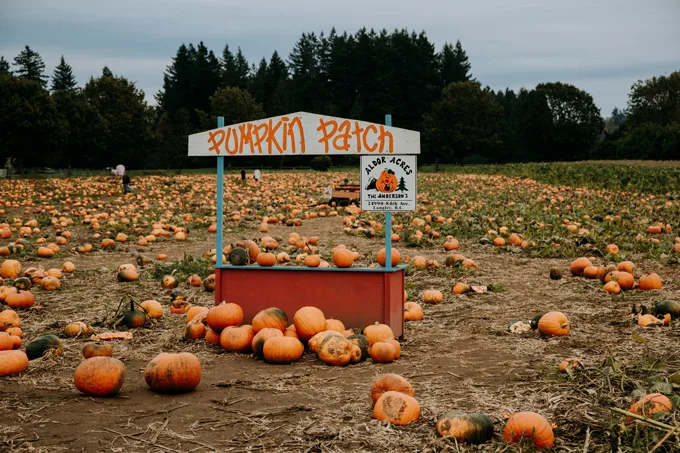 Township of Langley Fall 2022 Things to Do