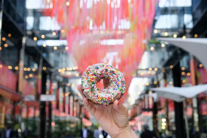 Underground Donut Tour Launches in Washington DC