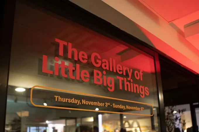 Gallery of Little Big Things