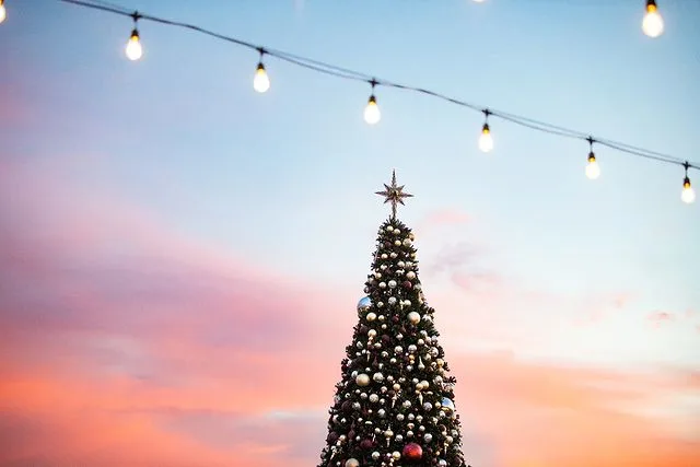 This winter, discover new entertainment, shopping, restaurants and more in wine country&rsquo;s most walkable destination.  Here&rsquo;s what&rsquo;s new in the City of Napa this winter.