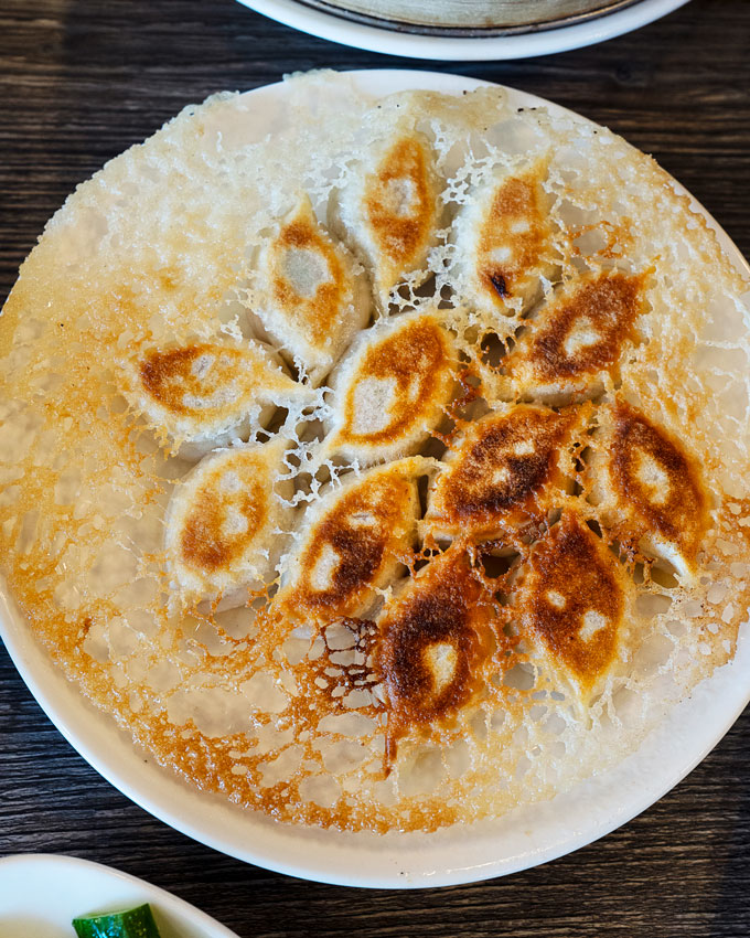 Pan Fried Dumplings Newark CA [Review] Foodgressing