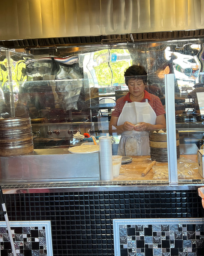 Pan Fried Dumplings Newark CA [Review] Foodgressing