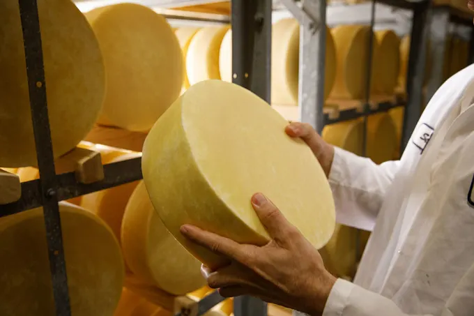 National Cheese Lovers Day
