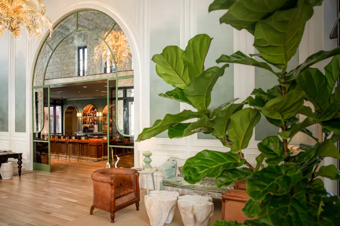 Now Open In Charleston, The Palmetto Hotel Embodies Authentic Southern Hospitality