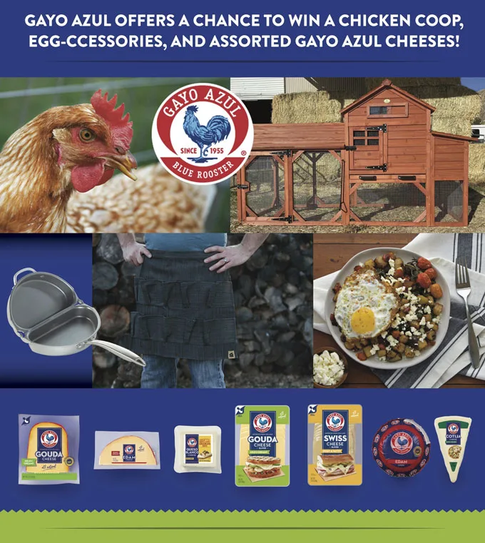 It's That Chicken Coop Time of Year Again with Gayo Azul Cheese