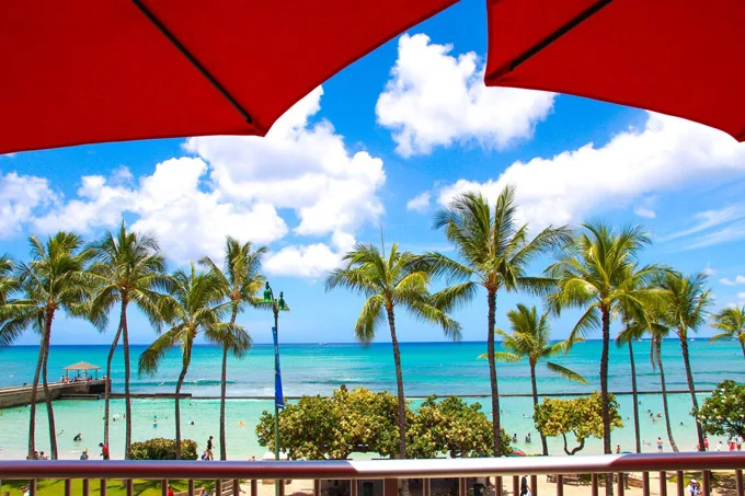 Tiki's Grill & Bar Elevates Menu with Local Offerings from Chef Ronnie