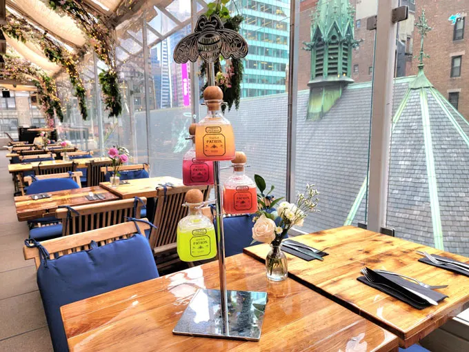 Find Your Perfect Cinco de Mayo Celebration at These 6 Spots in NYC