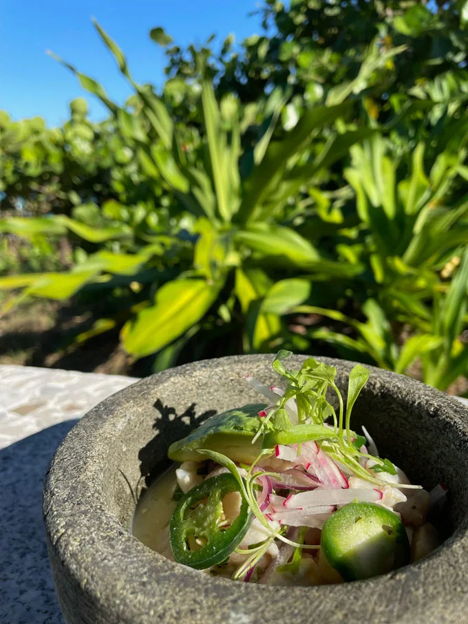 Summer Ceviche Dishes from South Florida Chefs