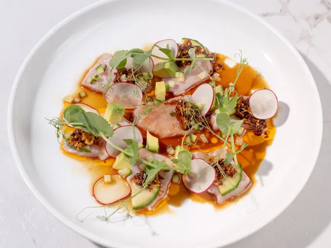 Summer Ceviche Dishes from South Florida Chefs