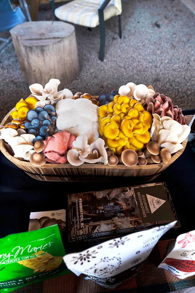 Nourish Spring Series by Cornucopia 2023 [Recap]