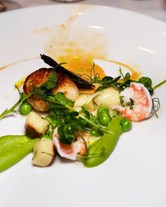 Nourish Spring Series by Cornucopia 2023 [Recap]