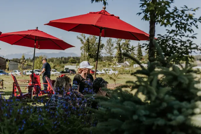 Summer in the Township of Langley