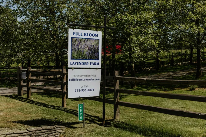 Summer in the Township of Langley