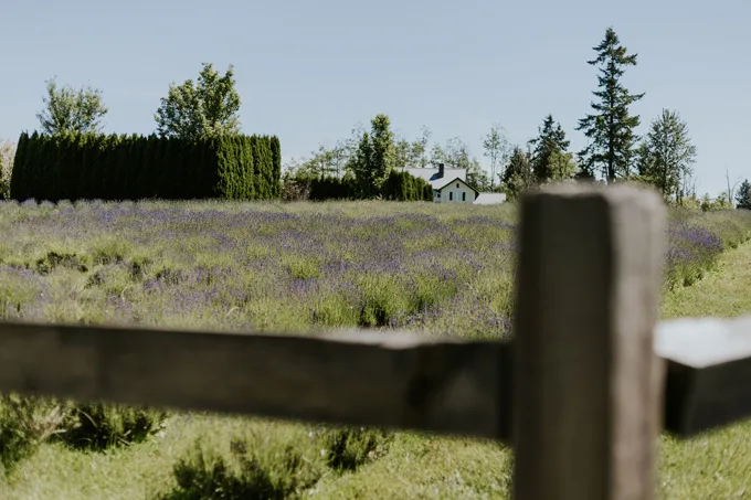Summer in the Township of Langley