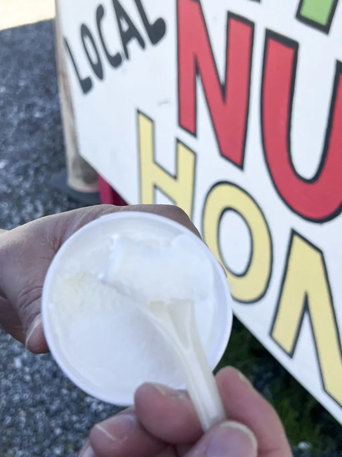 Trying Garlic Ice Cream in Gilroy CA Garlic Capital of the World