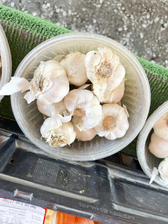 Trying Garlic Ice Cream in Gilroy CA Garlic Capital of the World