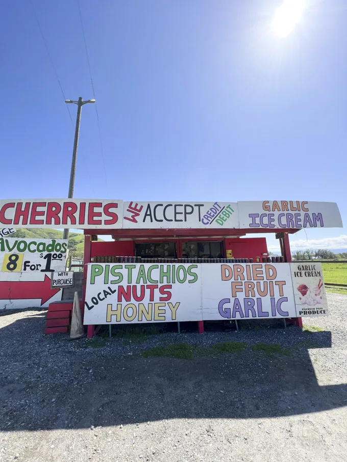Trying Garlic Ice Cream in Gilroy CA Garlic Capital of the World