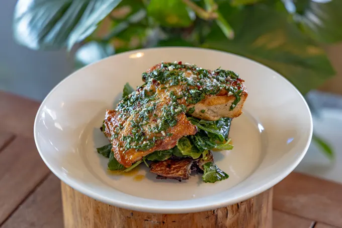 Pet-Friendly Places to Dine in SFL for National Dog Day 2023 (Friday, August 26)