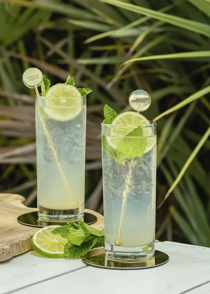 Beat the Heat with Refreshing Summer Cocktails