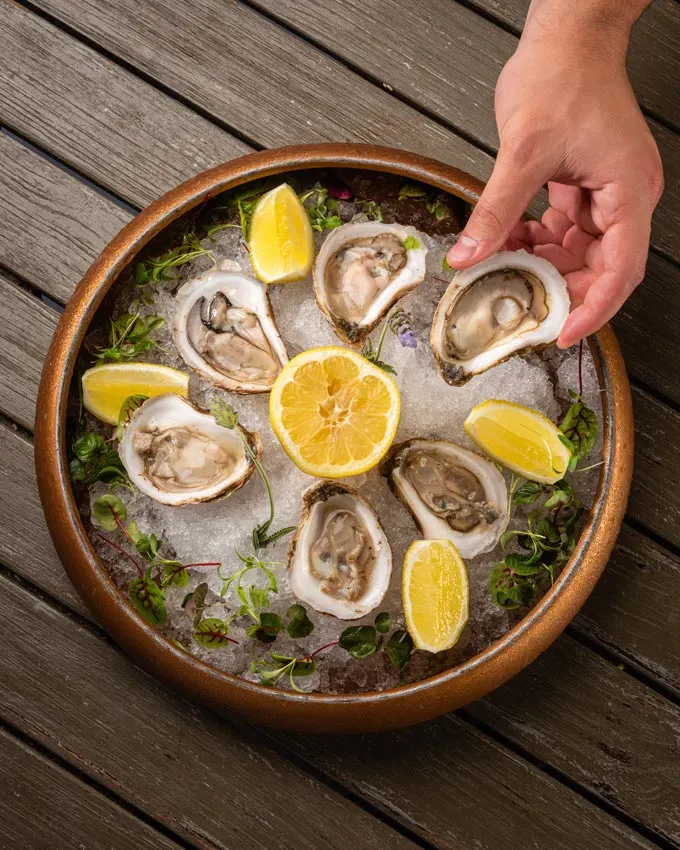 Get Ready to Shell-abrate. National Oyster Day Specials and Top Oyster Spots in South Florida