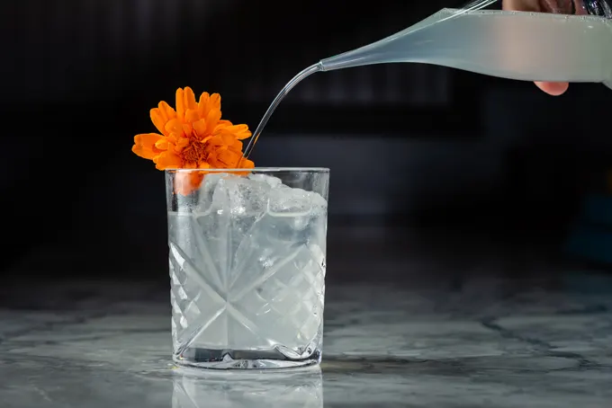 Beat the Heat with Refreshing Summer Cocktails