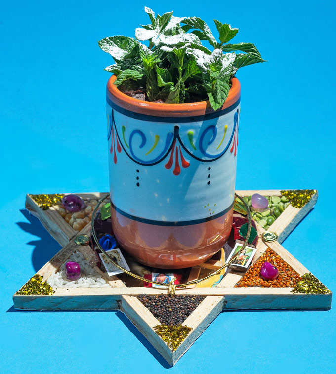 National Tequila Day at LUCKY DAY Las Vegas