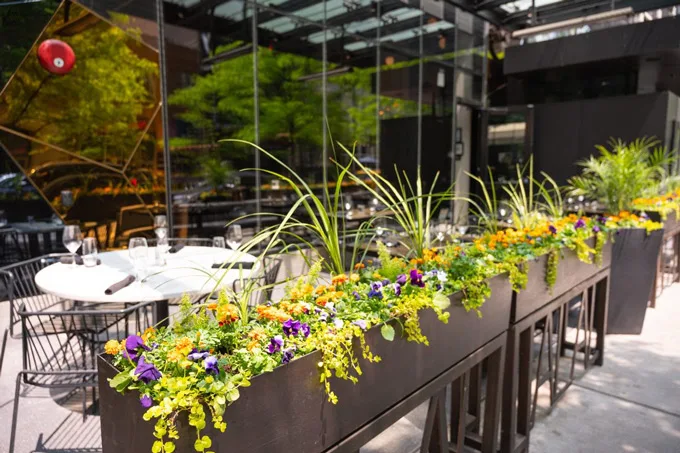 The Albert Announces Italian Market Pop-Up and New Happy Hour