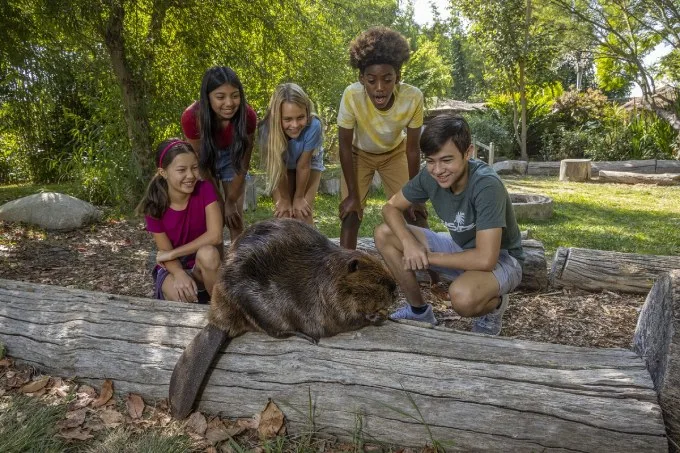 “Kids Free San Diego” Returns this October with Big Time Savings and a Lifetime of Family Memories