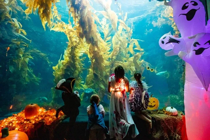 “Kids Free San Diego” Returns this October with Big Time Savings and a Lifetime of Family Memories