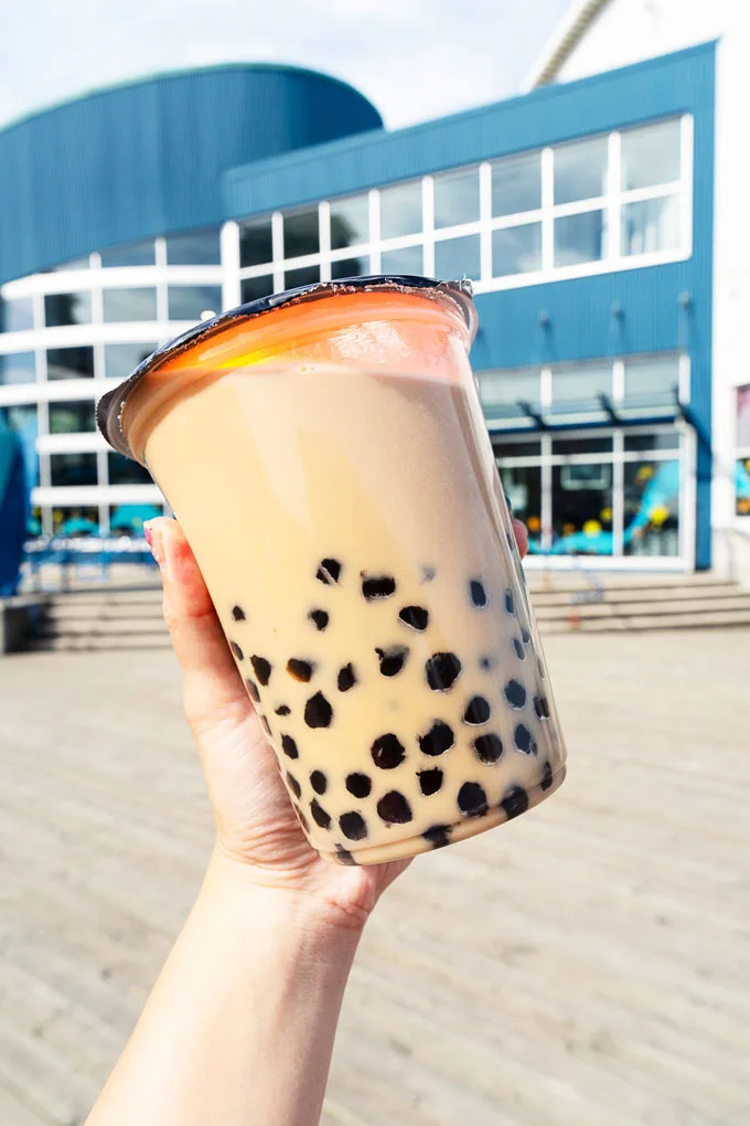 Ninja Bubble Tea Express New Westminster 1 L BBT [Review]