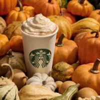 Tim Hortons Canada Pumpkin Spice & Fall Menu 2023 - Foodgressing