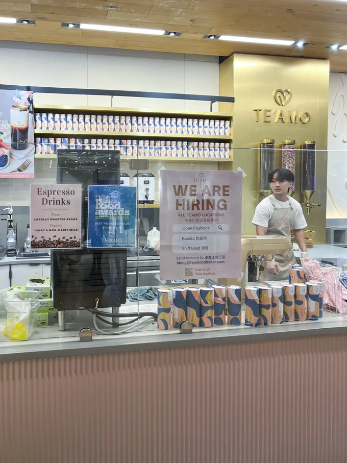 TE&rsquo;AMO Boba & Dessert Cafe Water Tower Place Chicago