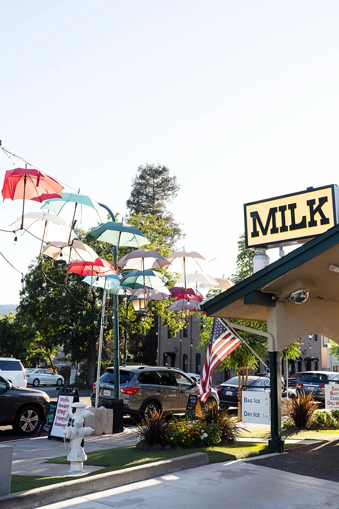 Meadowlark Dairy Pleasanton, California Iconic Ice Cream Spot