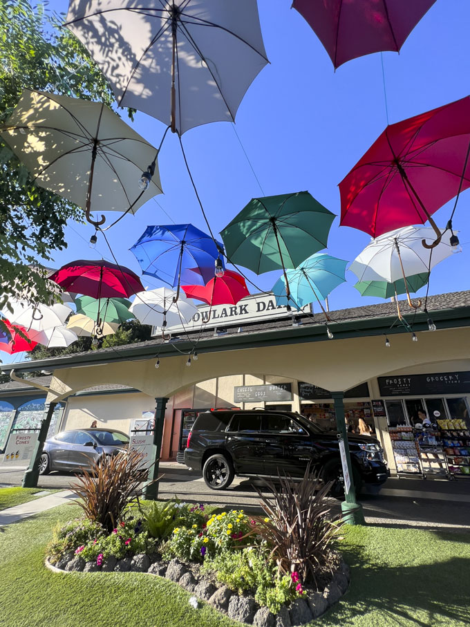 Meadowlark Dairy Pleasanton, California Iconic Ice Cream Spot